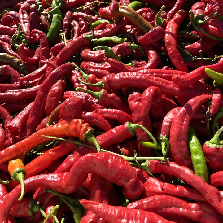 Pile of red and green chili peppers