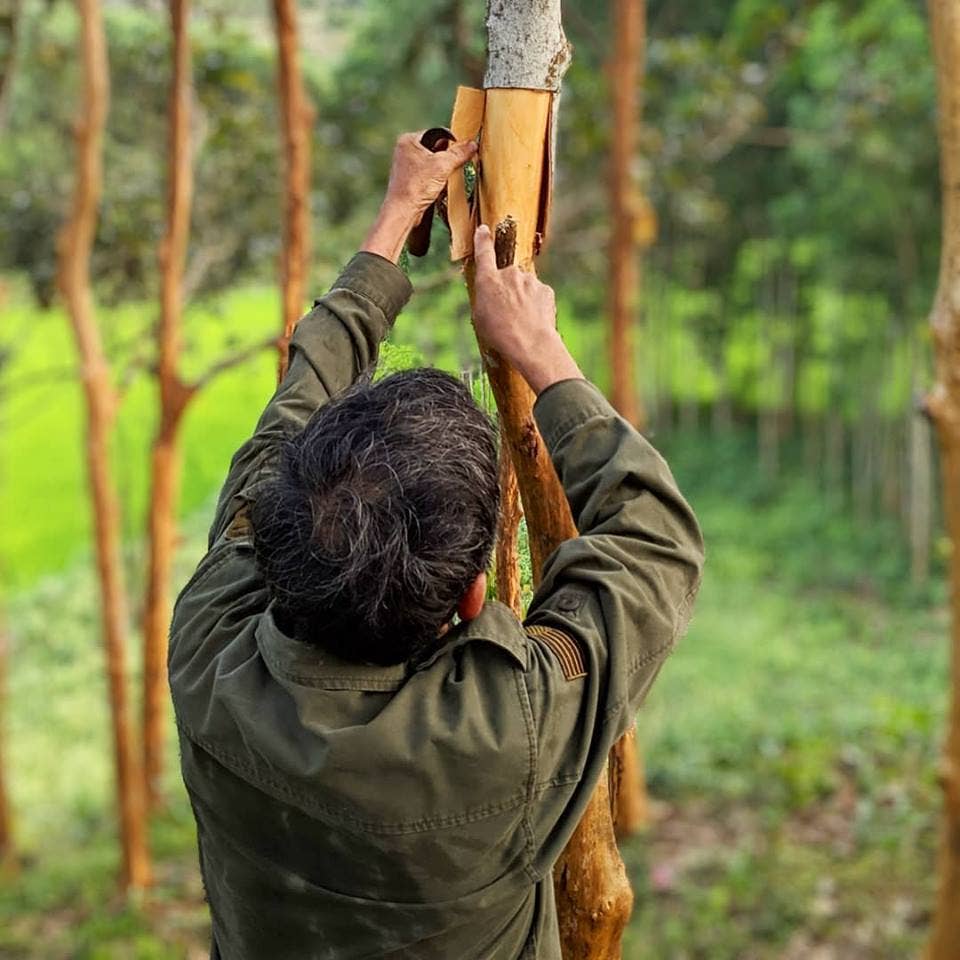 Person in a green jacket holding a rifle in a forest setting