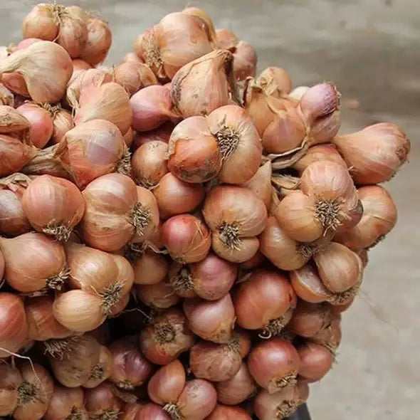 Bunch of shallots on a blurred background
