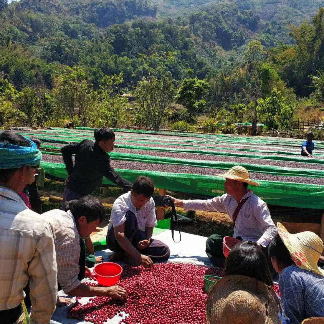 Myanmar, Naung Sam Phu