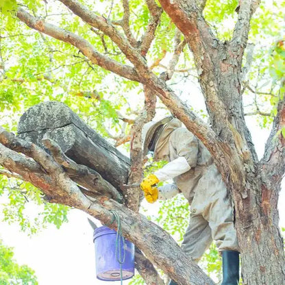 Person in a tree wearing protective gear, likely a beekeeper, with a tree and green leaves in the background.