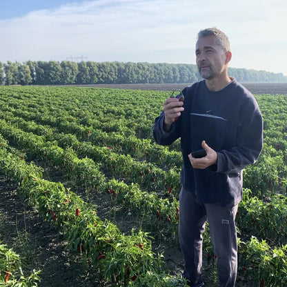Man standing in a field holding a pepper, with rows of plants and trees in the background.