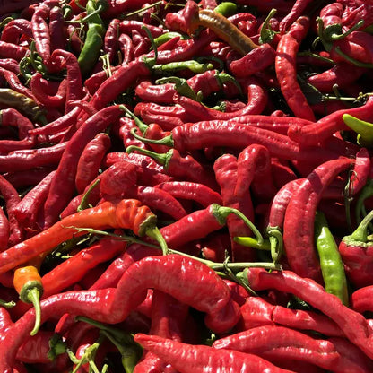 Pile of red and green chili peppers