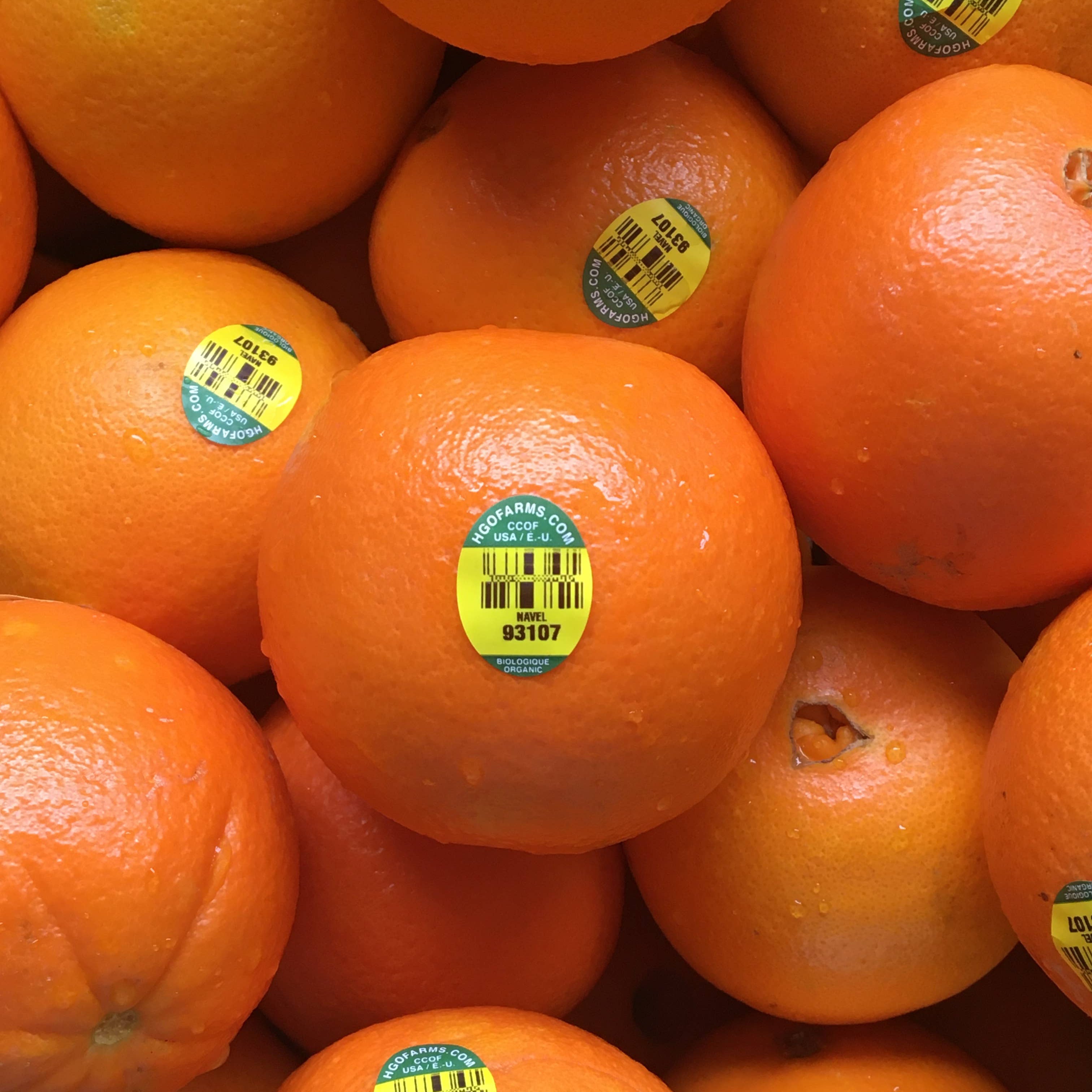 Oranges with visible barcodes on a pile
