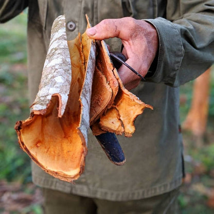 Person holding a large mushroom outdoors