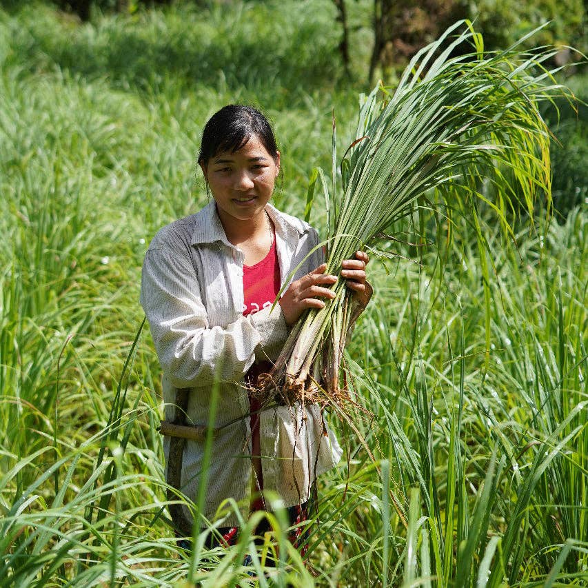 Woman holding a bundle of green plants in a field
