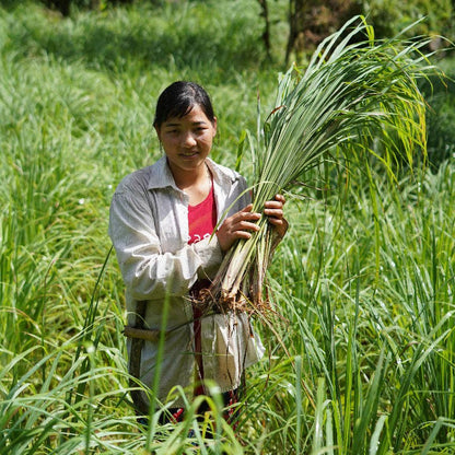 Woman holding a bundle of green plants in a field