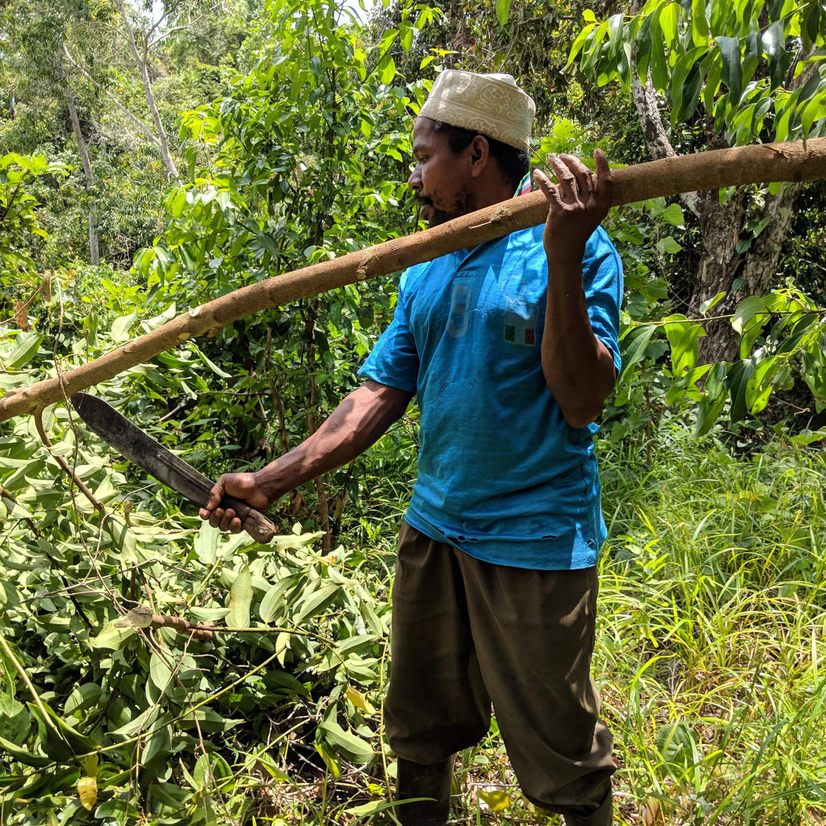 Man in a blue shirt holding a long tool in a forest setting