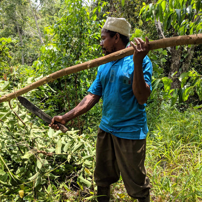 Man in a blue shirt holding a long tool in a forest setting