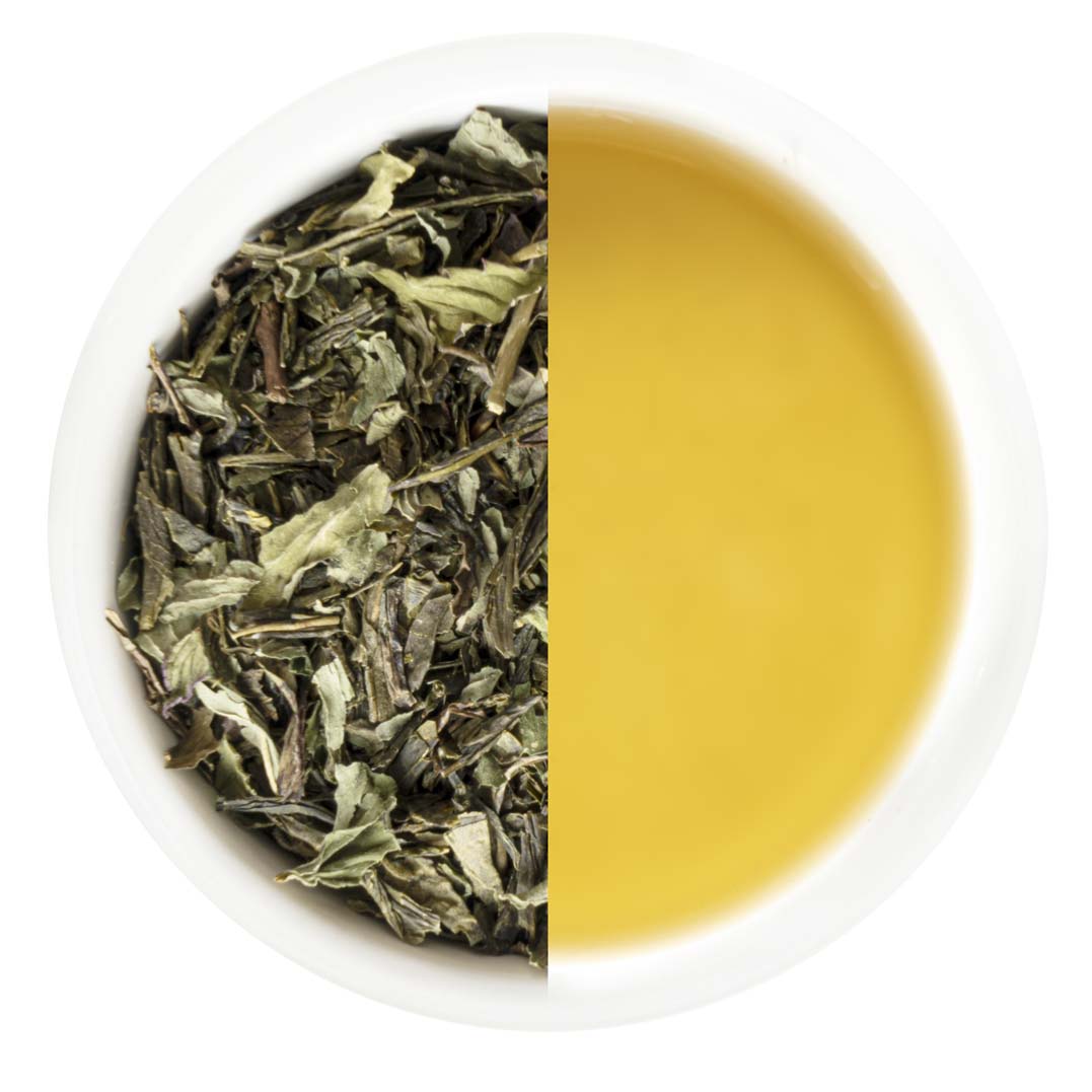 Oriental Garden Green Tea Refill Box