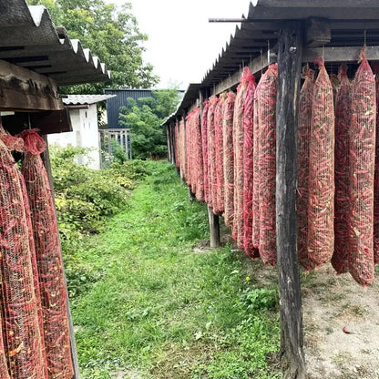 Rows of netted bags filled with peppers hanging under a wooden shelter with greenery in the background.