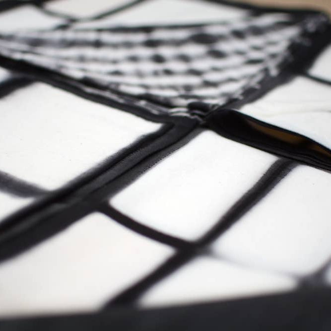 Black spider web on a white background