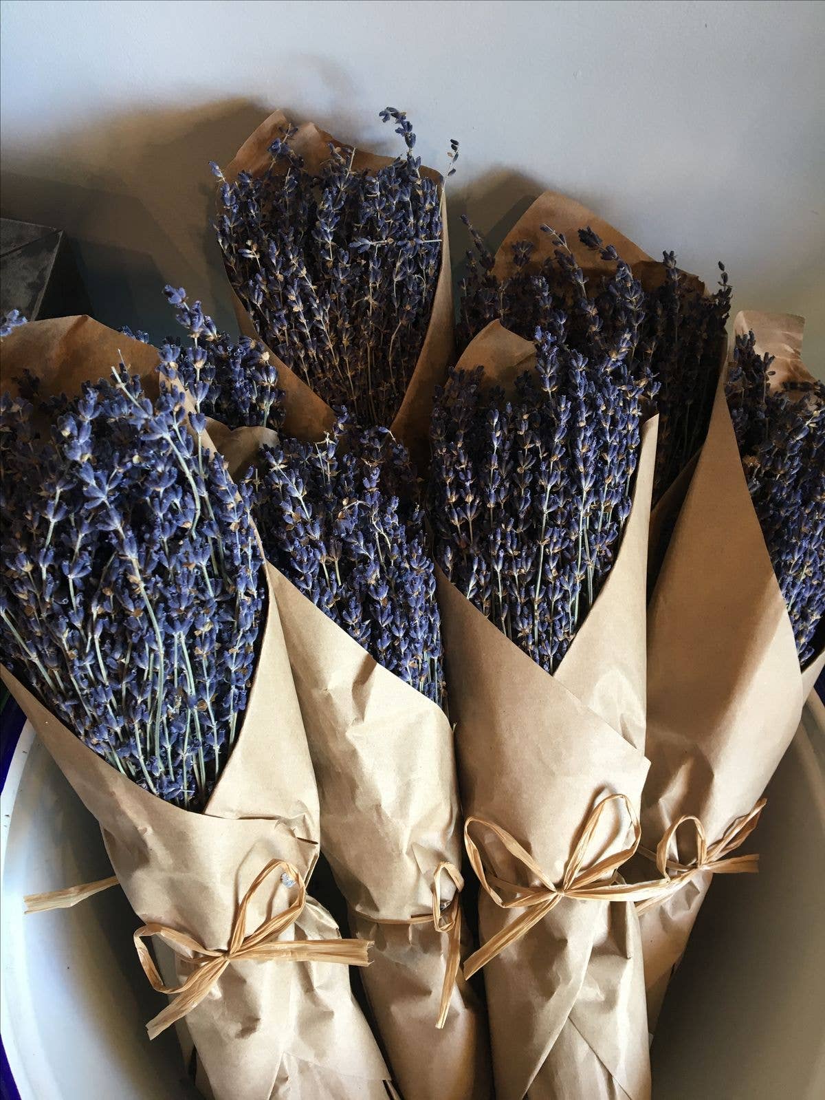 French Organic Lavender Bundle