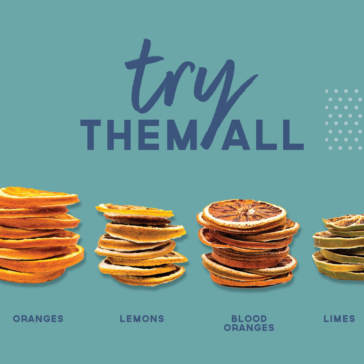 Stacks of dried oranges, lemons, blood oranges, and limes on a teal background with &