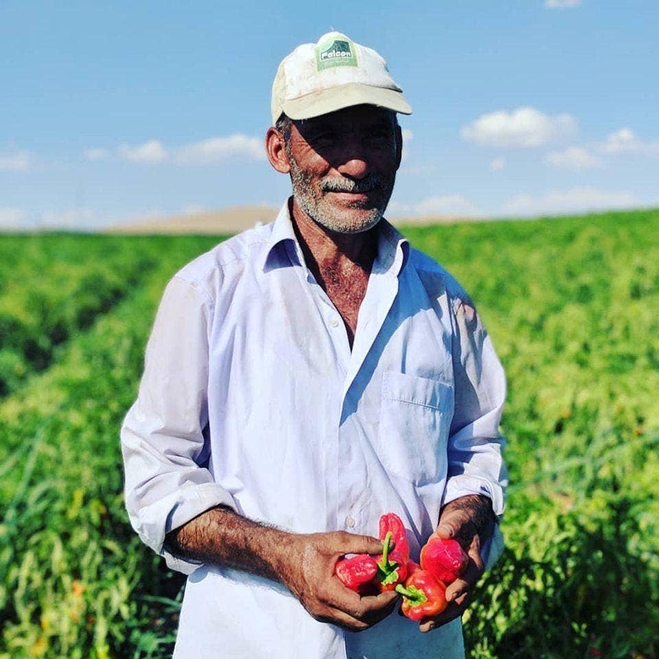 Black Urfa Chili (Urfa biber) - Single Origin Spice