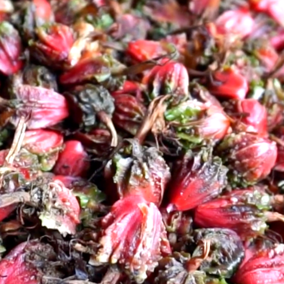 Close-up of dried red and green herbs or spices