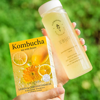 Hand holding a bottle and box of Kombucha tea with lemon and chrysanthemum against a green blurred background.