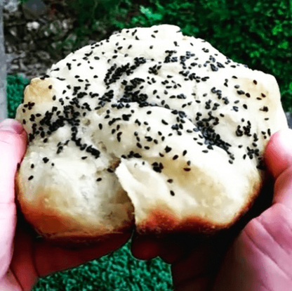 Hand holding a piece of bread with black sesame seeds against a green grass background
