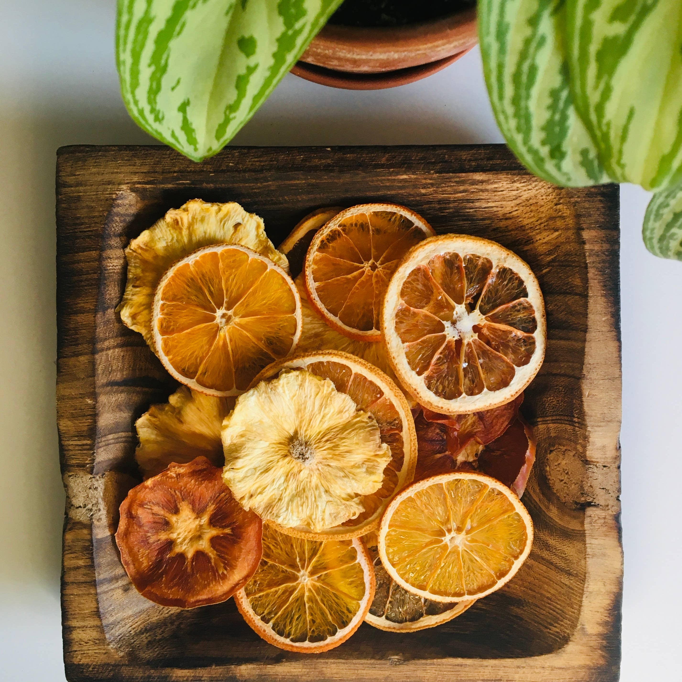 Dried orange slices on a wooden board with a watermelon plant in the background